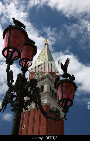 Tauben auf einen Laternenpfahl vor dem Campanile, Markusplatz entfernt, Venedig, Italien. Stockfoto