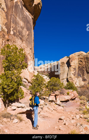 Wanderer auf der Spur, Calf Creek Falls, Grand Staircase-Escalante National Monument, Utah zu senken Stockfoto