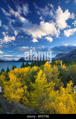 See-Abraham und Elliot Peak, Kootenay Plains, Alberta, Kanada Stockfoto