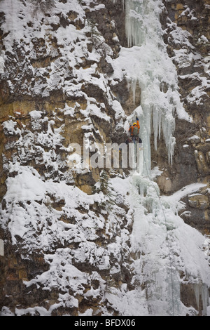 Ein Eiskletterer weiter WD40 WI 4, Evan Thomas Creek, Kananaskis, Alberta, Kanada Stockfoto