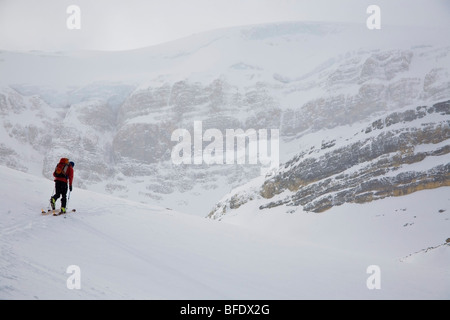 Ein Skifahrer-Uptracking auf die Wapta Icefields, Banff Nationalpark, Alberta, Kanada Stockfoto