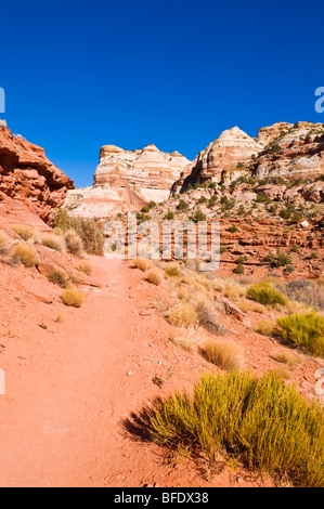 Felsformationen entlang des Weges, Calf Creek Falls, Grand Staircase-Escalante National Monument, Utah zu senken Stockfoto