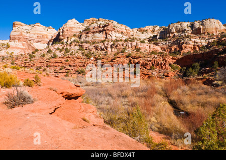 Felsformationen entlang des Weges, Calf Creek Falls, Grand Staircase-Escalante National Monument, Utah zu senken Stockfoto