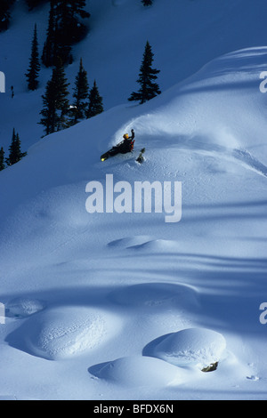 Ein Snowboarder machen einige feines Pulver verwandelt sich in das Hinterland in Golden, British Columbia, Kanada Stockfoto