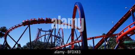 Der Scorpion Achterbahn, Busch Gardens Tampa Bay, Florida, USA Stockfoto