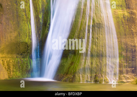 Lower Calf Creek Falls, Grand Staircase-Escalante National Monument in Utah Stockfoto