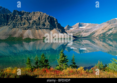 Herbstfarben am Bow Lake mit Crowfoot Berg, Banff Nationalpark, Alberta, Kanada Stockfoto