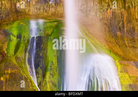 Lower Calf Creek Falls, Grand Staircase-Escalante National Monument in Utah Stockfoto