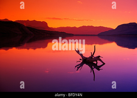 Bunte Reflexionen in Jasper Lake in der Morgendämmerung, Jasper Nationalpark, Alberta, Kanada Stockfoto