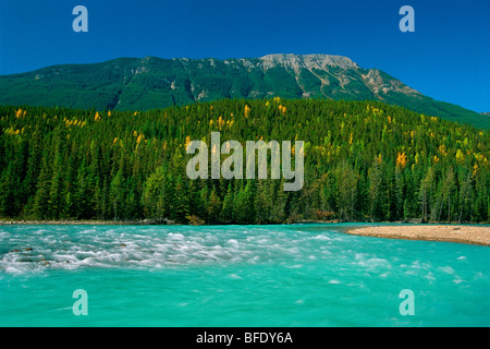 Kicking Horse River, Yoho Nationalpark, Britisch-Kolumbien, Kanada Stockfoto