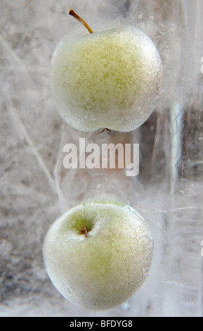 Zwei gefrorene Äpfel in einen Eisblock aufgehängt Stockfoto