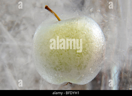 Einen gefrorenen Apfel in einem Eisblock aufgehängt Stockfoto