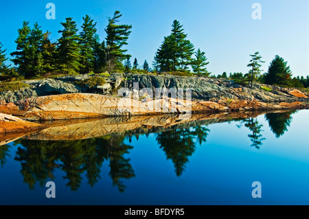 Östliche weiße Kiefer (Pinus Strobus) spiegelt sich in Georgian Bay, Französisch River Provincial Park, Ontario, Kanada Stockfoto