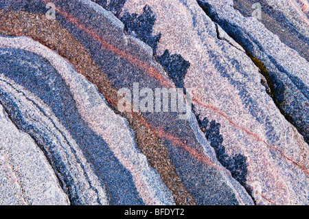 Abstrakte Muster Detail des Felsens, Killbear Provincial Park, Ontario, Kanada Stockfoto