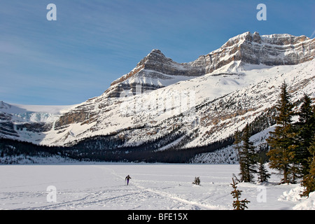 Langlaufen in Bow Lake mit den Türmen der kanadischen Rocky Mountains im Hintergrund. Stockfoto