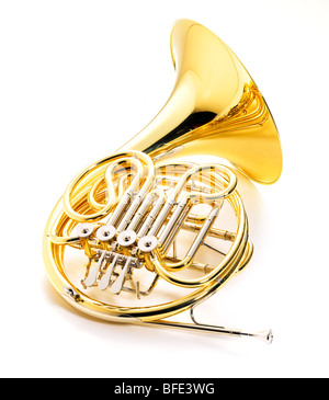 Glänzende Waldhorn auf weißem Hintergrund Stockfoto