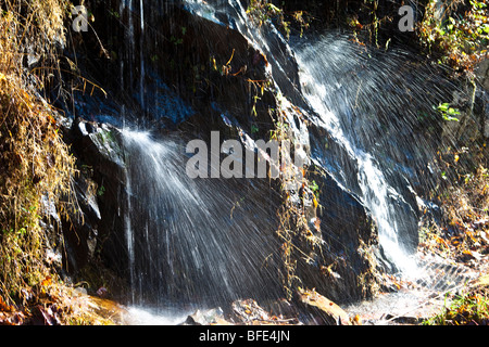 Waterdrips entlang der Little River Road, Great Smoky Mountains National Park, Tennessee Stockfoto