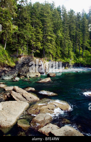 Ein Wasserfall in der Nähe von Sombrio Strand auf dem Juan de Fuca Marine Trail, Vancouver Island, British Columbia, Kanada Stockfoto