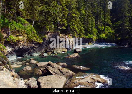 Ein Wasserfall, Sombrio Strand auf dem Juan de Fuca Marine Trail, Vancouver Island, British Columbia, Kanada Stockfoto