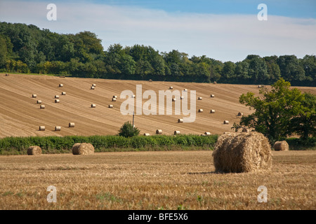 Heuballen im Feld, Hampshire, England Stockfoto