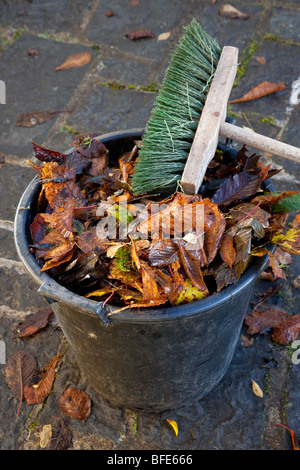 Braune Blätter im Herbst in Eimer mit Pinsel Stockfoto