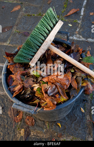 Braune Blätter im Herbst in Eimer mit Pinsel Stockfoto