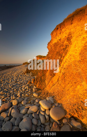 Am späten Abend Sonnenlicht beleuchtet die orangefarbenen Klippen am Abbotsham Strand an der Küste von North Devon UK Stockfoto