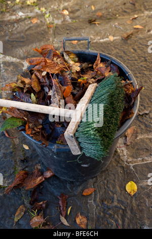 Braune Blätter im Herbst in Eimer mit Pinsel Stockfoto