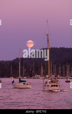 Vollmond über Ganges Hafen und Segelboote sanft zerren an ihren Liegeplätzen Ganges Hafen Salt Spring Island Golf Inseln Brit Stockfoto