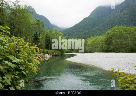 Creek und Berge im Golden Ears Provincial Park in Maple Ridge, British Columbia, Kanada Stockfoto