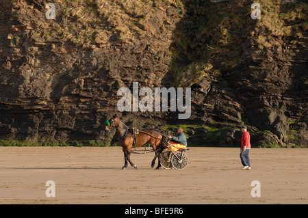 Harness racing Pferd, Fahrer und Buggy, breite Haven Beach, Pembrokeshire, Wales, UK, Europa Stockfoto