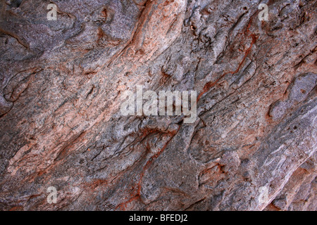 Close Up von Baobab Baum bellen Affenbrotbäume Digitata, aufgenommen in der Nähe von Yaeda Chini, Tansania Stockfoto