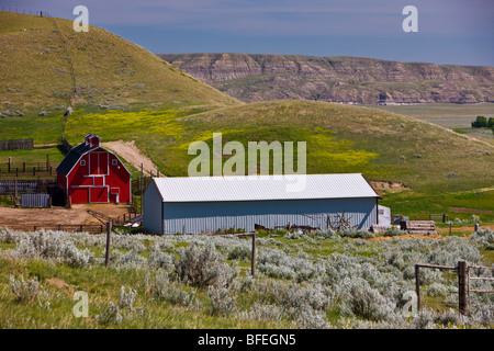 Ranch in den Big Muddy Badlands in der Nähe von Schloss Butte im südlichen Saskatchewan, Kanada Stockfoto