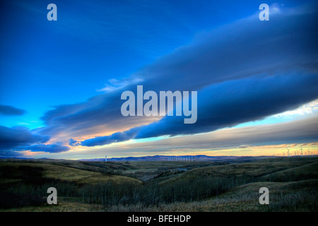 Windpark mit Chinook Wolken über Oberseite von ihnen in der Nähe von Pincher Creek, Alberta, Kanada Stockfoto