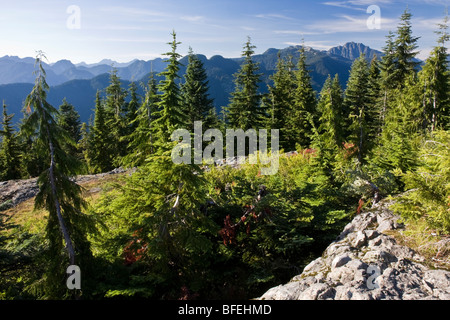 Blick vom Hund Berg am Mount Seymour Provincial Park in North Vancouver, British Columbia, Kanada Stockfoto