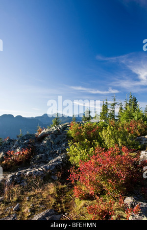 Blick vom Hund Berg am Mount Seymour Provincial Park in North Vancouver, British Columbia, Kanada Stockfoto