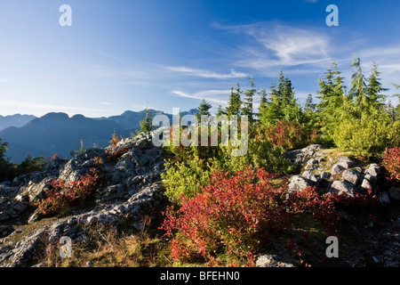 Blick vom Hund Berg am Mount Seymour Provincial Park in North Vancouver, British Columbia, Kanada Stockfoto