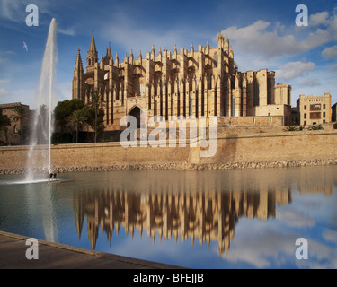 ES - MALLORCA: La Seu Kathedrale in Palma De Mallorca Stockfoto