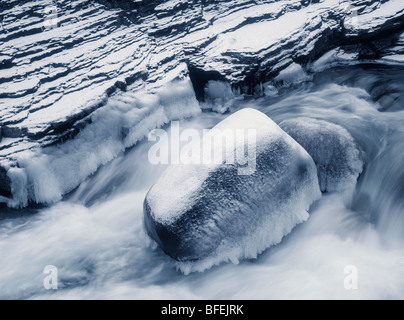 Mistaya River über Mistaya Canyon, Banff Nationalpark, Alberta, Kanada Stockfoto