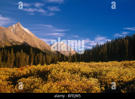 Nigel Pass, Banff Nationalpark, Alberta, Kanada Stockfoto