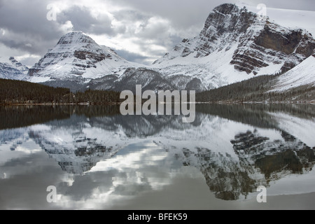 Bow Lake, Bogen Spitze am Bow Summit, Banff Nationalpark, Alberta, Kanada Stockfoto