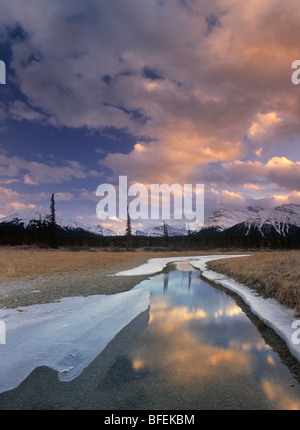 North Saskatchewan River, Kootenay Plains, Alberta, Kanada Stockfoto