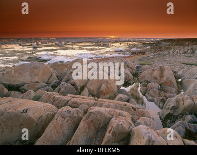 Sonnenuntergang über Vogel Cove, die Hudson Bay, Churchill, Manitoba, Kanada Stockfoto