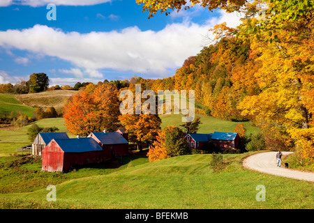 Man Walking Hund im Herbst an der Jenne Farm in der Nähe von Woodstock Vermont USA Stockfoto