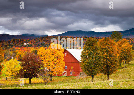 Herbstliche Ansicht der Scheune in der Nähe von Stowe Vermont USA Stockfoto