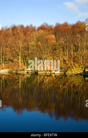 Herbst am Thruscross Stausee Blubberhouses Yorkshire England Stockfoto