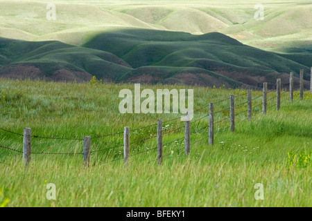 Zaun und Feld in die Prärie Badlands in der Nähe von Dorothy, Alberta, Kanada Stockfoto