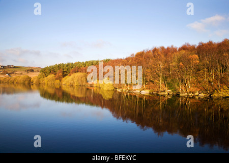 Herbst am Thruscross Stausee Blubberhouses Yorkshire England Stockfoto