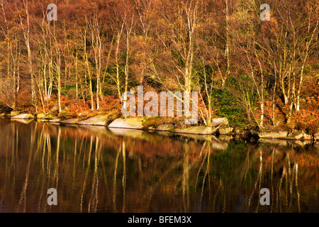 Herbst am Thruscross Stausee Blubberhouses Yorkshire England Stockfoto