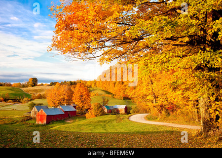 Sonnenaufgang im Herbst auf dem Jenne-Bauernhof in der Nähe von South Woodstock Vermont USA Stockfoto